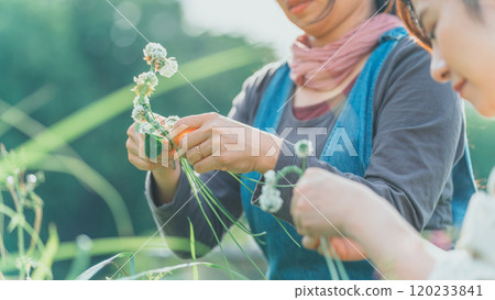 Knitting White Clover 120233841