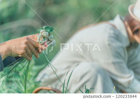 一位女士用白三葉草製作花圈 120233844