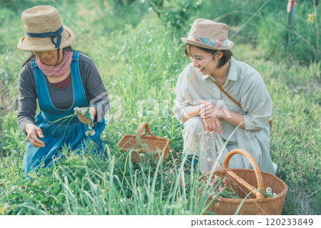 Playing with flowers 120233849