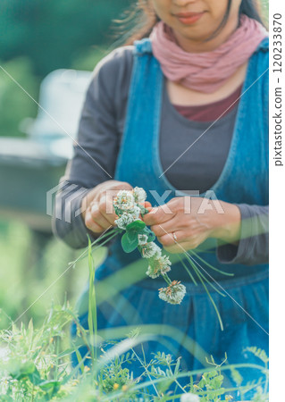 Knitting White Clover 120233870