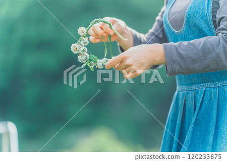 Knitting White Clover 120233875