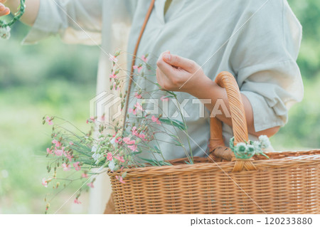 Flower picking Flower picking 120233880