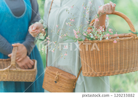 Flower picking Flower picking 120233882