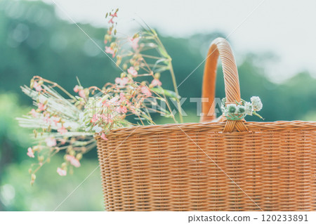 Flower picking 120233891