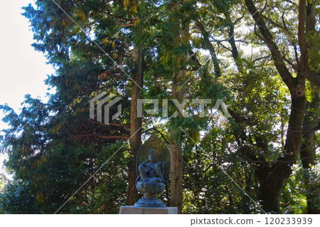 Buddha statue and trees 120233939