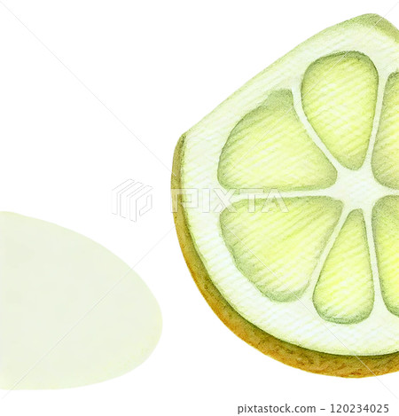 Lemon cross section illustration material, fruit food design 120234025