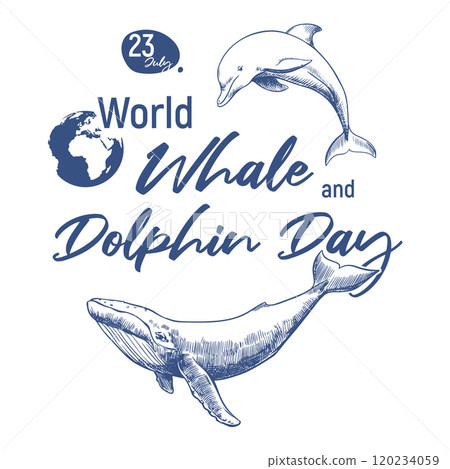 Poster for Whale and Dolphin Day July 23. Concept of global problem of preserving animal diversity in the ocean. Vector linear drawing of orca and humpback whale. Poster for Whale and Dolphin Day July 23. Concept of global problem of preserving animal diversity in the ocean. Vector linear drawing of orca and humpback whale. 120234059