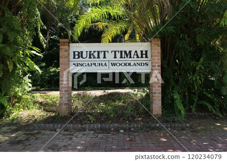 Singapore Bukit Timah Station ruins Singapore Bukit Timah Station ruins 120234079