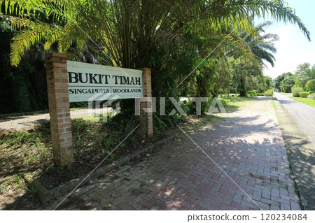 Singapore Bukit Timah Station ruins Singapore Bukit Timah Station ruins 120234084