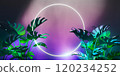 Tropical monstera leaves with neon light - 3D 120234252