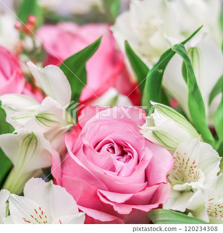 Beautiful pink rose in flower arrangement. Decoration of roses and ornamental plants, selective focus Beautiful pink rose in flower arrangement. Decoration of roses and ornamental plants, selective focus 120234308
