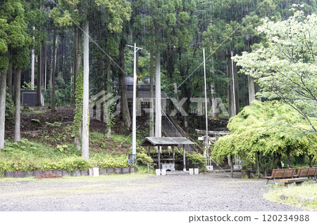 根道神社有一個被森林包圍的無名池塘（俗稱莫內池塘） 120234988