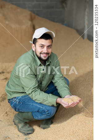 Farmer checking quality of soybean hulls for livestock feeding 120235334