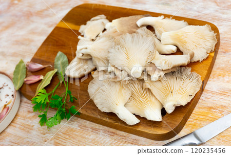Raw oyster mushrooms served at table 120235456