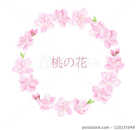 桃花圓框畫水彩 120235849