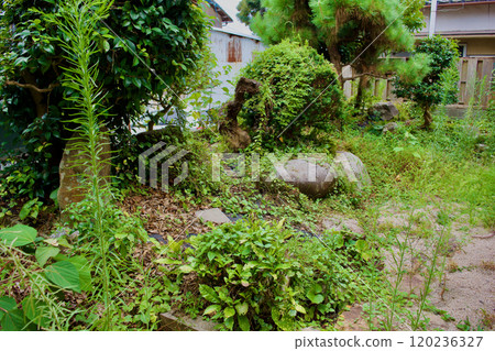 雜草叢生的空屋花園（二手房） 120236327