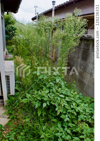 雜草叢生的空屋花園（二手房） 120236331