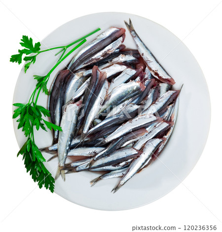 Raw anchovy fish served on plate Raw anchovy fish served on plate 120236356