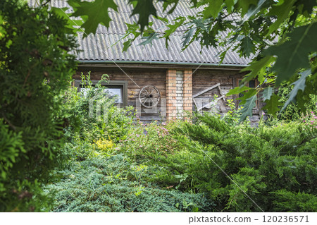 The wall of a village house with a wheel from a cart among the branches of green trees The wall of a village house with a wheel from a cart among the branches of green trees 120236571