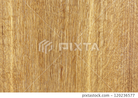 Structure of oak veneer covered with gloss varnish 120236577