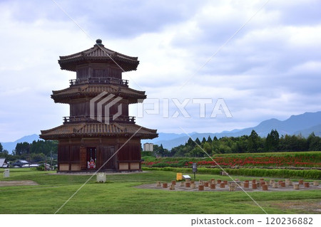 真理城和彼岸花 真理城和彼岸花 120236882