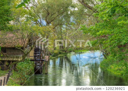 長野縣安曇野市立川水磨坊,黑澤電影外景地 長野縣安曇野市立川水磨坊,黑澤電影外景地 120236921