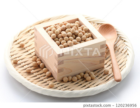Soybeans in a masu Soybeans in a masu 120236956