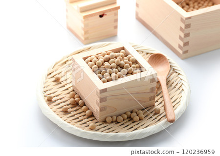 正方形的大豆 120236959