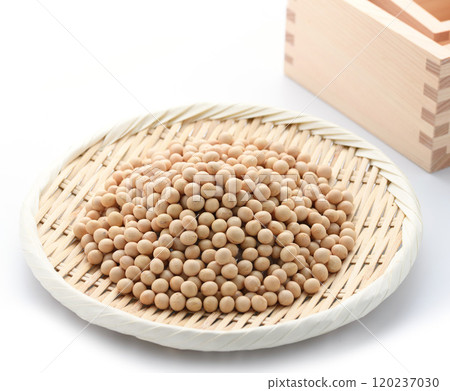 大豆豆 大豆豆 120237030