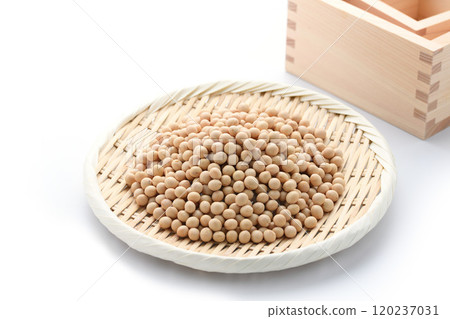 Soy beans 120237031