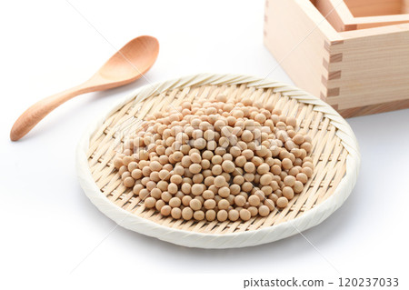 大豆豆 120237033