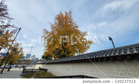 autumn street 120237313