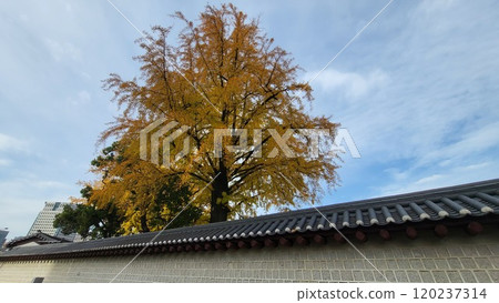 autumn street autumn street 120237314