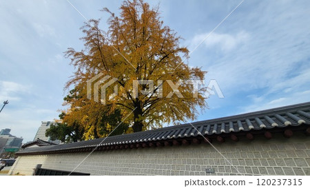 autumn street autumn street 120237315