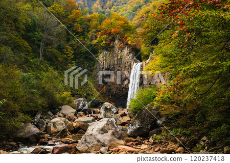 Naena Falls surrounded by autumn leaves 120237418