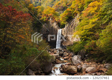 Naena Falls and the river colored in autumn leaves 120237461
