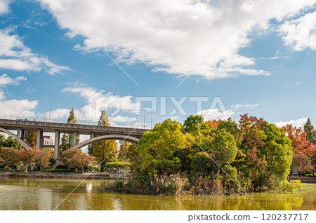 秋天的城北公園 大阪市 120237717