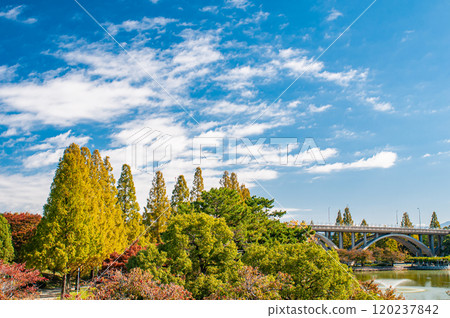 Autumn in Johoku Park, Osaka City 120237842