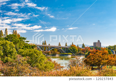 Autumn in Johoku Park, Osaka City 120237843