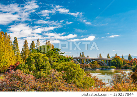 Autumn in Johoku Park, Osaka City 120237844