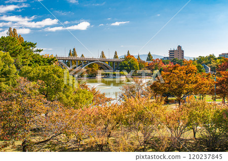 Autumn in Johoku Park, Osaka City Autumn in Johoku Park, Osaka City 120237845