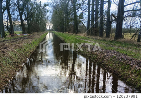 perfectly straight drainage ditch for lowering groundwater levels in the lowlands of northern germany perfectly straight drainage ditch for lowering groundwater levels in the lowlands of northern germany 120237991