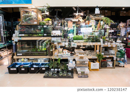 Shimada Homes Sengawa store 1st floor Pet corner Aquatic life Wakabacho, Chofu city, Tokyo Shimada Homes Sengawa store 1st floor Pet corner Aquatic life Wakabacho, Chofu city, Tokyo 120238147