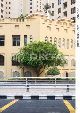 Cityscape - single tree against the background of a house wall Cityscape - single tree against the background of a house wall 120238628