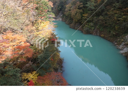 高瀨溪谷，陽光照在樹上，秋葉美麗，淺藍色 120238639