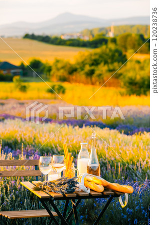 Picnic with wine and milk in a lavender field at sunset Picnic with wine and milk in a lavender field at sunset 120238736