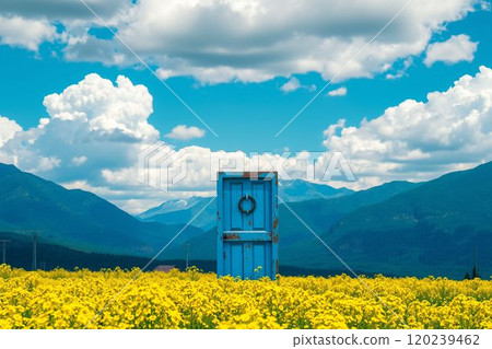 A rustic blue door in a field of yellow flowers A rustic blue door in a field of yellow flowers 120239462