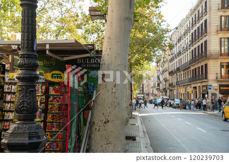 La Rambla in Barcelona, Spain La Rambla in Barcelona, Spain 120239703