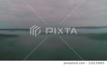 Dark mysterious burned forest landscape. Forest in Fire, Burning Trees, Bushes, Burning Dry Grass in the Peatbog. Heavy Smoke Against Sky. Drone Shot Dark mysterious burned forest landscape. Forest in Fire, Burning Trees, Bushes, Burning Dry Grass in the Peatbog. Heavy Smoke Against Sky. Drone Shot 120239805