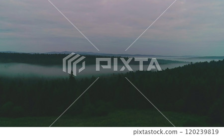 Dark mysterious burned forest landscape. Ash covered forest after fire. Smoke rising from ground after wildfire. Aerial panoramic, with cloud formation from burning rice stubble, aerial drone shot. 120239819